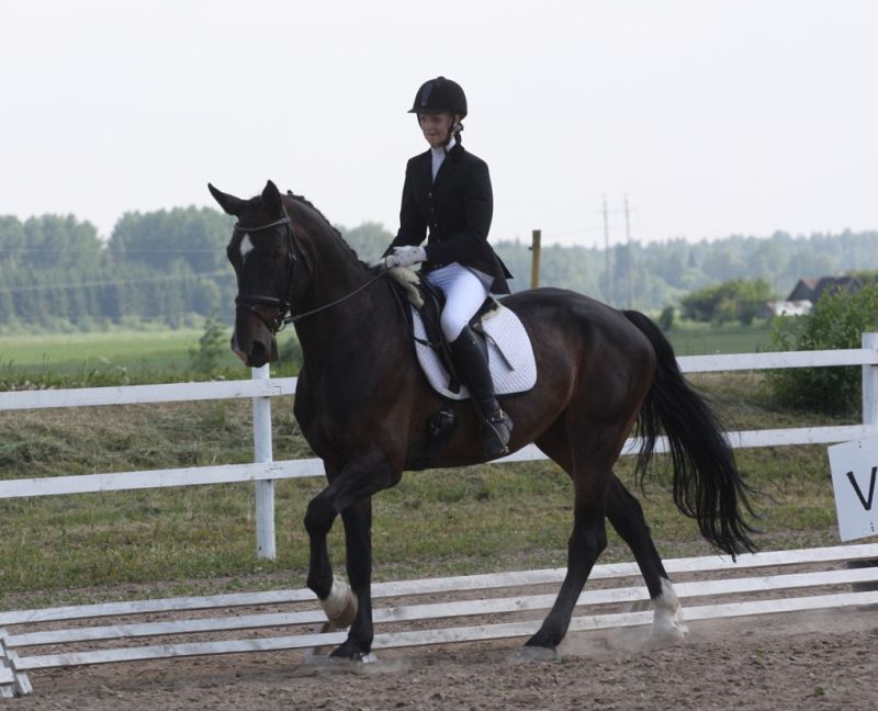 Marii- Heleen Raidmets ja Kissinger - karikasarja Tori Hobune 2011 skeemi L8 võitjad 10 juuni 2011 Säreveres.